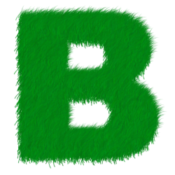 Rondom het Breblerpark is een groep bewoners actief die zorg draagt voor een schone en sociale wijk. Je kunt de initiatiefnemers aanspreken als je...